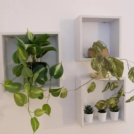 Mazzini 81 - * Ραβένα