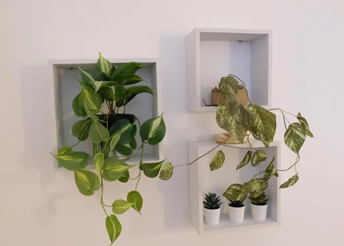 Mazzini 81 - * Ravenna